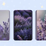 The Charming World of Lavender: 15 Wallpaper Ideas to Inspire You