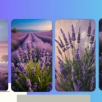 Dreamy Lavender Walls: 15 Ideas for Your Aesthetic Haven