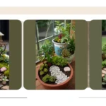 Explore the Tiny Wonders: 18 Charming Miniature Garden Ideas