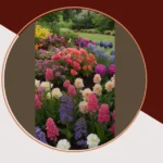 Blooming Marvelous: 17 Flower Garden Ideas to Spice Up Your Outdoor Oasis**  
**