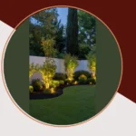 22 Front Garden Ideas to Bring Your House to Life