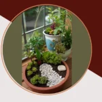 Magical Miniature Gardens: 18 Easy Design Ideas You Can Try