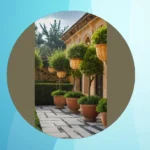 From Courtyards to Backyards: 21 Italian Garden Ideas Inspired by Tuscany