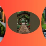 Edible Delights: 21 Home Vegetable Garden Ideas for You