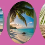 Dreamy Coconut Escapes: 16 Beach Wallpaper Ideas for Your Devices