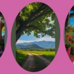 Capturing Nature’s Peace: 19 Paradise Places to Photograph