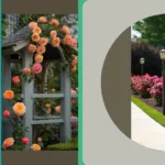 The Art of Roses: 18 Fresh Garden Design Ideas to Petal Your Passion**  
**