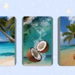 Boost Your Screen Game: 16 Gorgeous Coconut Beach Wallpapers