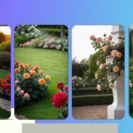 18 Brilliant Rose Garden Design Ideas to Wow Your Neighbors