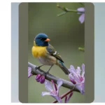 Spring Fling: 20 Charming Birds Wallpaper Ideas for Your Home