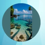 Snap Away: 17 Ideas for Stunning Nature Paradise Photography