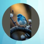 Feathered Friends: 20 Birdy Wallpaper Styles to Brighten Your Room