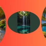 Snapshot Adventure: 17 Must-Try Nature Photography Ideas