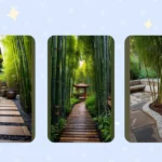 Embrace Nature: 21 Creative Bamboo Garden Ideas for Every Home