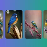 Flap Your Way to Fun: 20 Creative Spring Birds Wallpaper Ideas