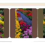 Bring the Joy of Flowers: 18 Creative Seasonal Flower Bed Ideas