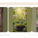 Rise and Shine with 20 Cute Spring Birds Wallpaper Ideas