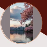 Discover 18 Aesthetic iPhone Wallpapers for Instant Calm