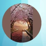 The Ultimate Cherry Blossom Bucket List: 21 Iconic Hotspots**  
**