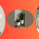 Elevate Your Space: 21 Cute Living Room Decor Ideas You Can Find Online