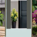 Elevate Your Landscaping with Faux Plants: Ideas for Every Season