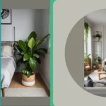 Bringing the Earth Indoors: 16 Plants for your Aesthetic Spaces