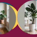 Green Goals: 16 Plants to Spruce Up Your Indoor Living