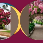 Nature’s Palette: 16 Flowering Trees to Enhance Your Aesthetic