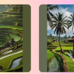 Bali Bound: 17 Photography Ideas to Snap Like a Pro**  
**