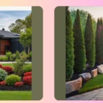 Landscaping Wonders: 15 Creative Ideas for Your Property Line