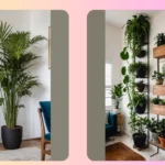 Fresh Ideas: 16 Room Plants to Brighten Up Your Space