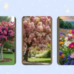 Blooms Ahead: 16 Flowering Trees to Elevate Your Outdoor Experience