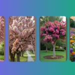 The Art of Blossom: 16 Stunning Flowering Trees for Small Spaces