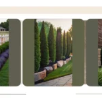 Unleashing the Potential: 15 Property Line Landscaping Ideas That Will Wow Your Neighbors**  
**