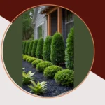 Elevate Your Home: 15 Innovative Landscaping Ideas for Property Lines That Stand Out**  
**