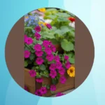 Window Box Wonders: 21 Flower Ideas for Shady Spots and Sunny Spaces