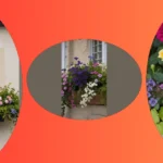 Floral Fantasy: 21 Window Box Flower Ideas for Every Home