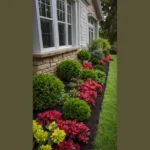 Transform Your Space: 19 Stunning Front Yard Garden Ideas