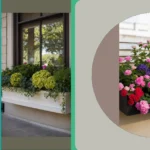 Window Box Wonders: 21 Flower Ideas for Every Style and Sunshine**  
**