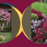 Unleash Your Creativity with 18 Lilac Garden Ideas