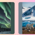 Embrace the Chill: 15 Arctic Landscape Inspirations for Your Artwork  
**