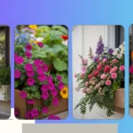 21 Window Box Flowers Ideas for Every Type of Sunlight