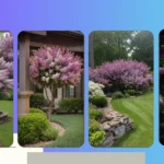 18 Lilac Garden Landscapes That Will Have You Smelling the Roses (and Lilacs)