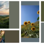 19 Sunset-Inspired Wallpapers to Elevate Your Digital Aesthetic