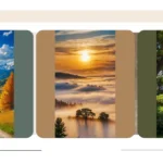 Get Your Groove On: 19 Sunny Aesthetic Wallpaper Ideas