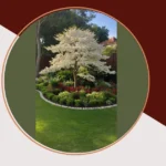 Gorgeous Green and White Wedding Aesthetic for Your Garden Celebration