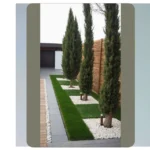 Transform Your Front Yards with Creative Base of Tree Landscaping Ideas
