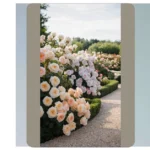 Enchanting Rose Gardens: 16 Ideas for Your Floral Paradise