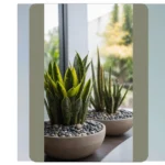 20 Indoor Plant Decor Ideas to Liven Up Your Living Room