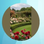 Roses, Companions, and Layouts: Designing Your Dream Garden